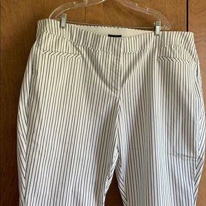 Lane Bryant capris size 24